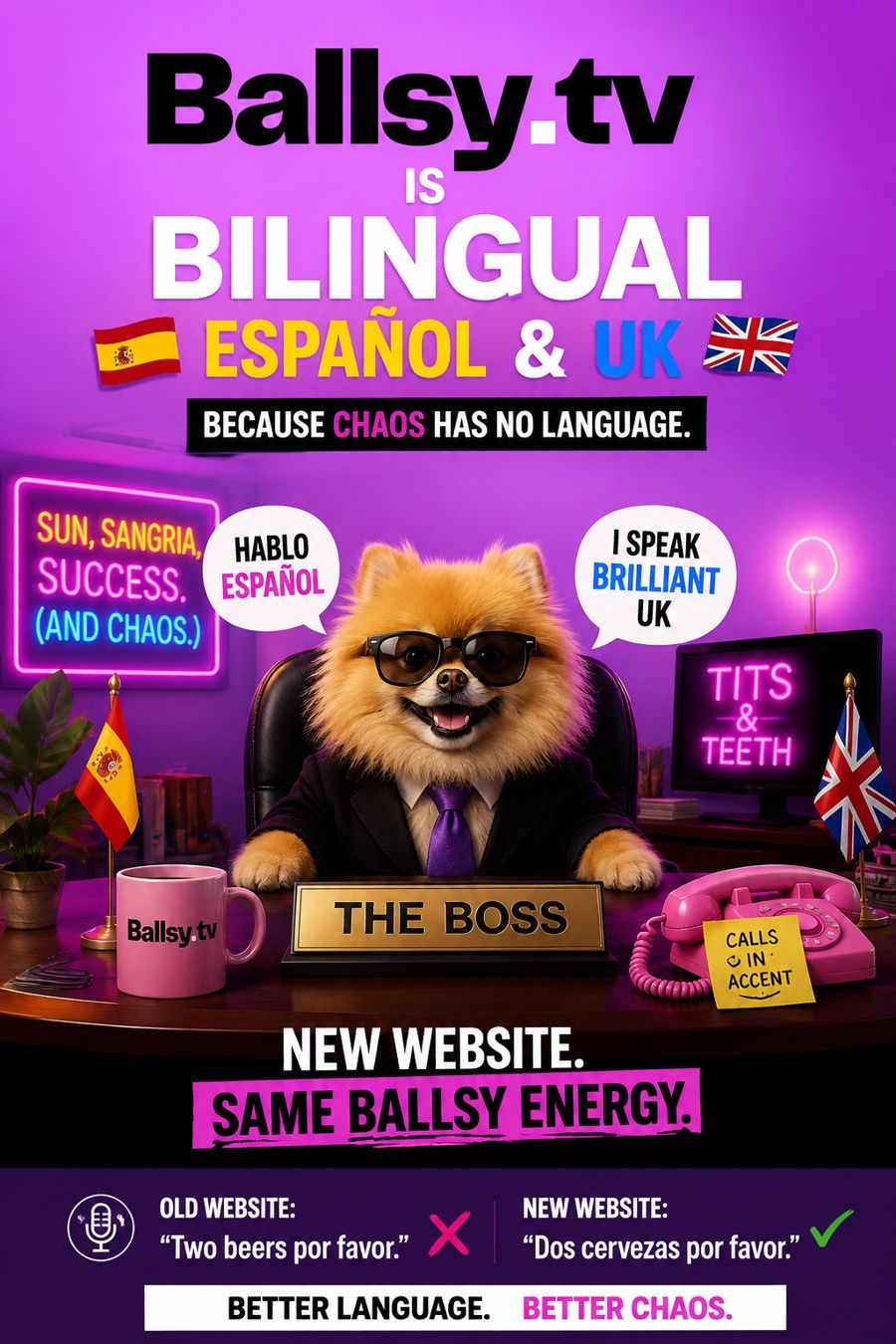 Bear, The Boss of Ballsy.tv, at his desk: Ballsy.tv is bilingual